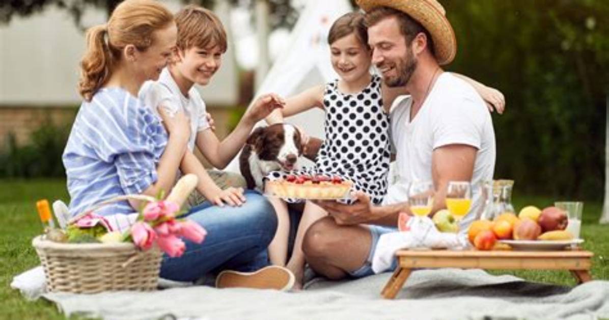 Why Go on a Picnic?
