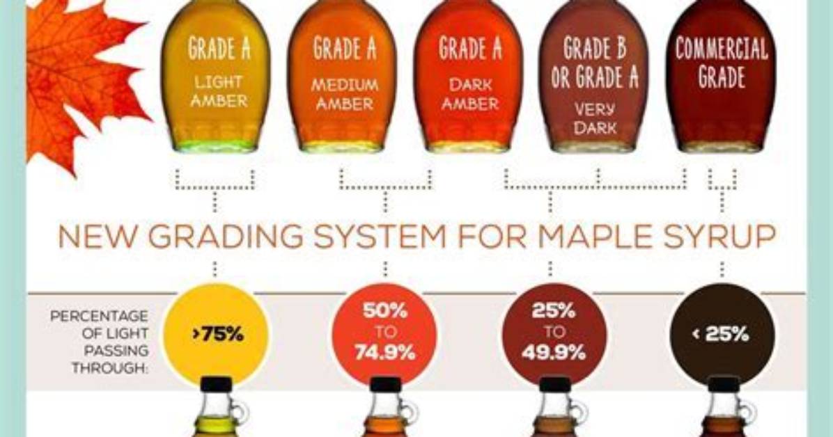 Why Grade B Maple Syrup?