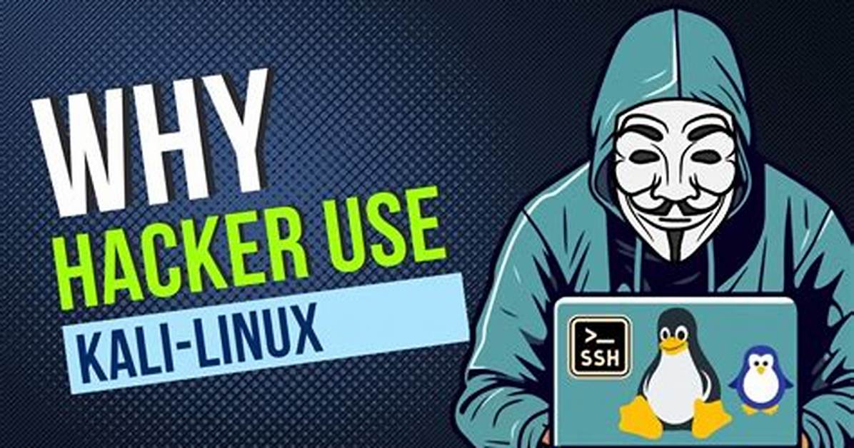 Why Hackers Use Kali Linux?