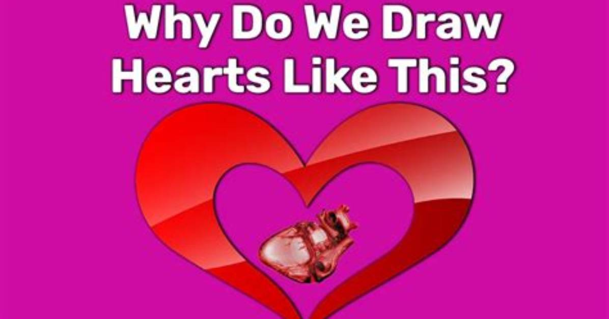Why Heart Is Heart Shape?