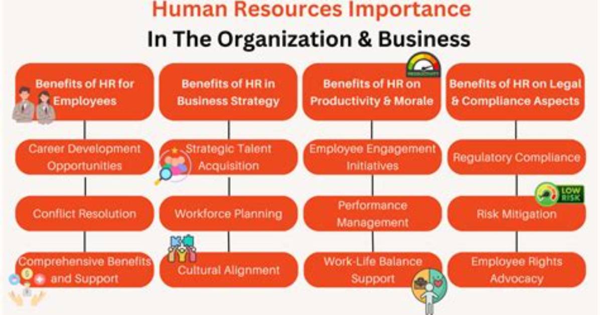 Why Human Resources Are Important Class 8?