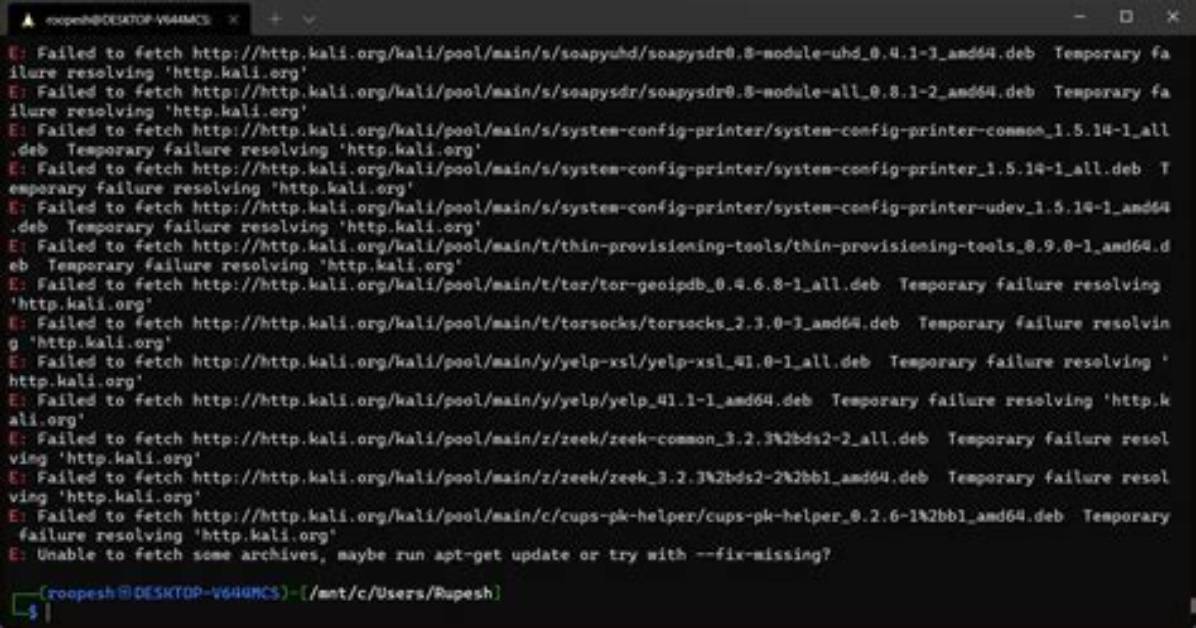 Why Installing Kali Linux Metapackage, Returns"Temporary Failure Resolving 'Http. Kali. Org'"