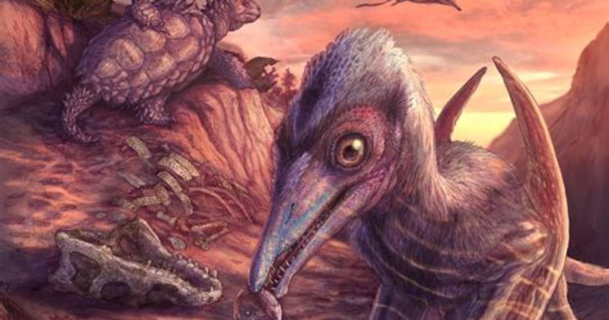 Why Is a Pterosaur Not a Dinosaur?