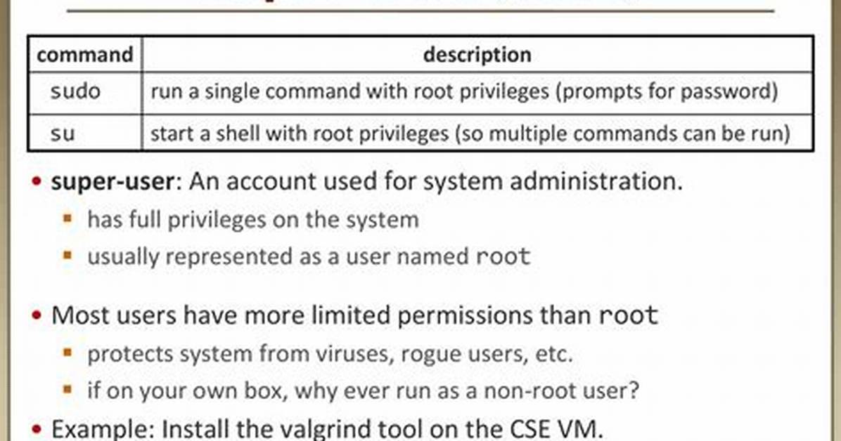 Why Is a User with Root Privileges Not in ~ Anymore?