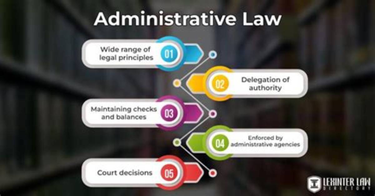 Why Is Administrative Law Needed?