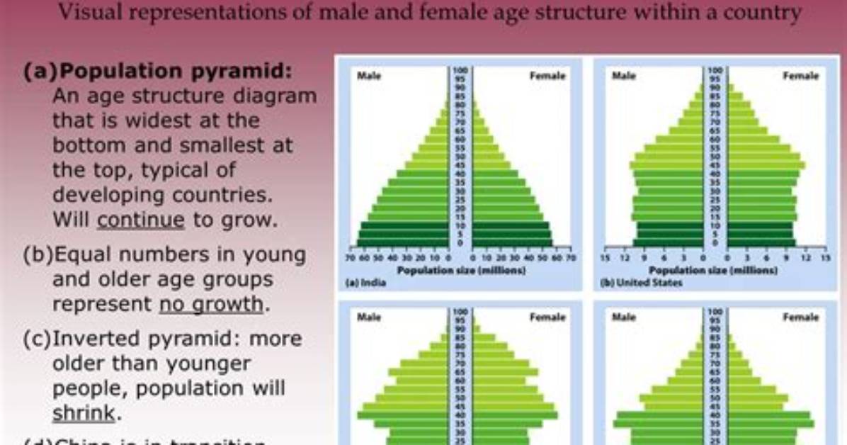 Why Is Age Structure Important?