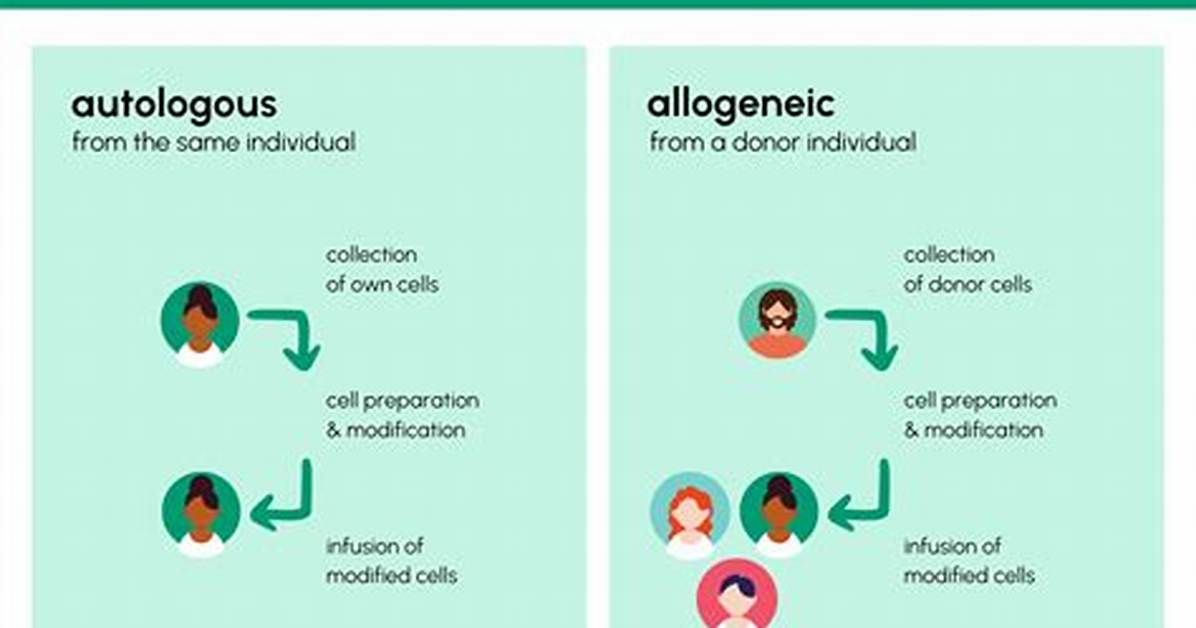 Why Is Allogeneic Important?