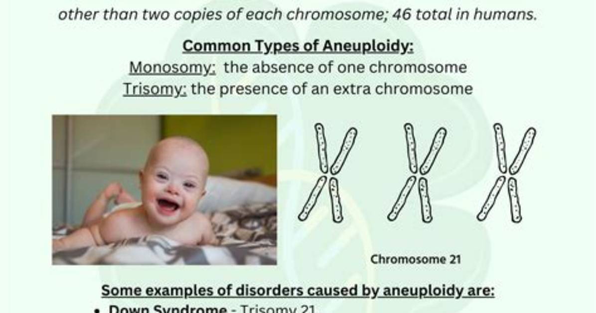 Why Is Aneuploidy Important?