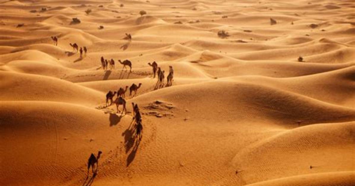 Why Is Arabia a Desert