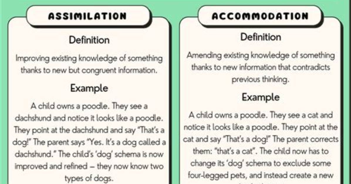 Why Is Assimilation and Accommodation Important
