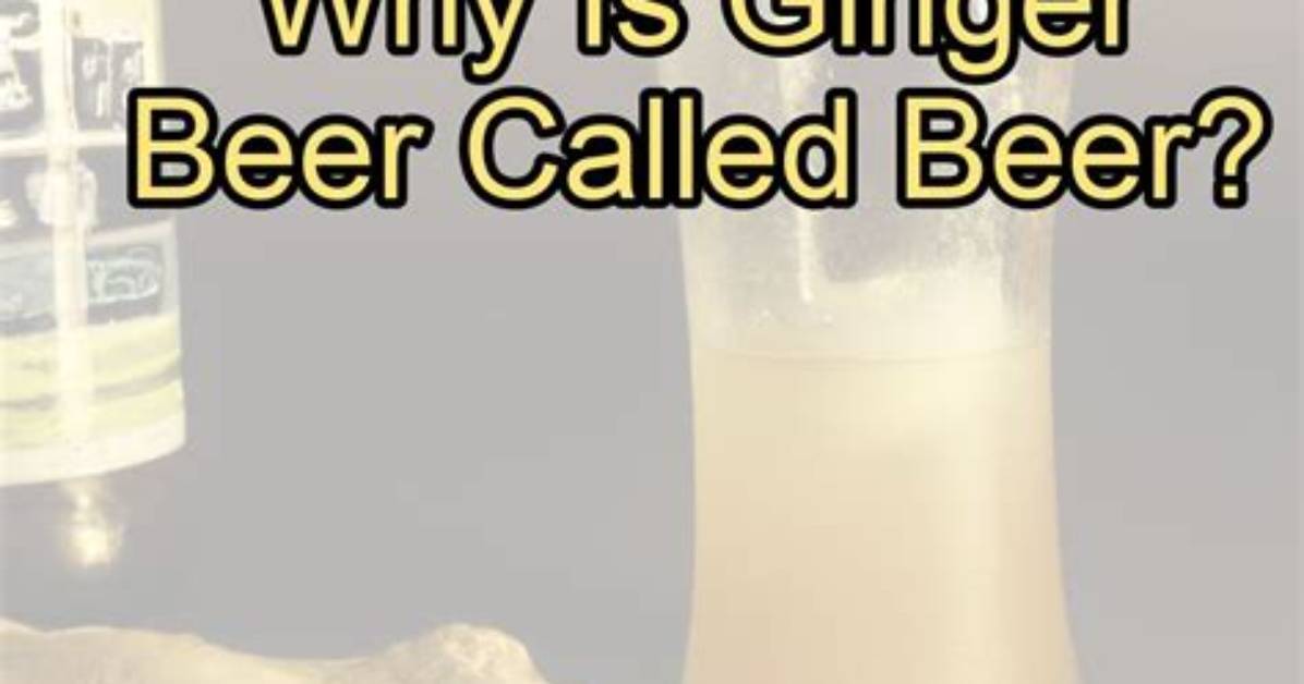 Why Is Beer Called Beer