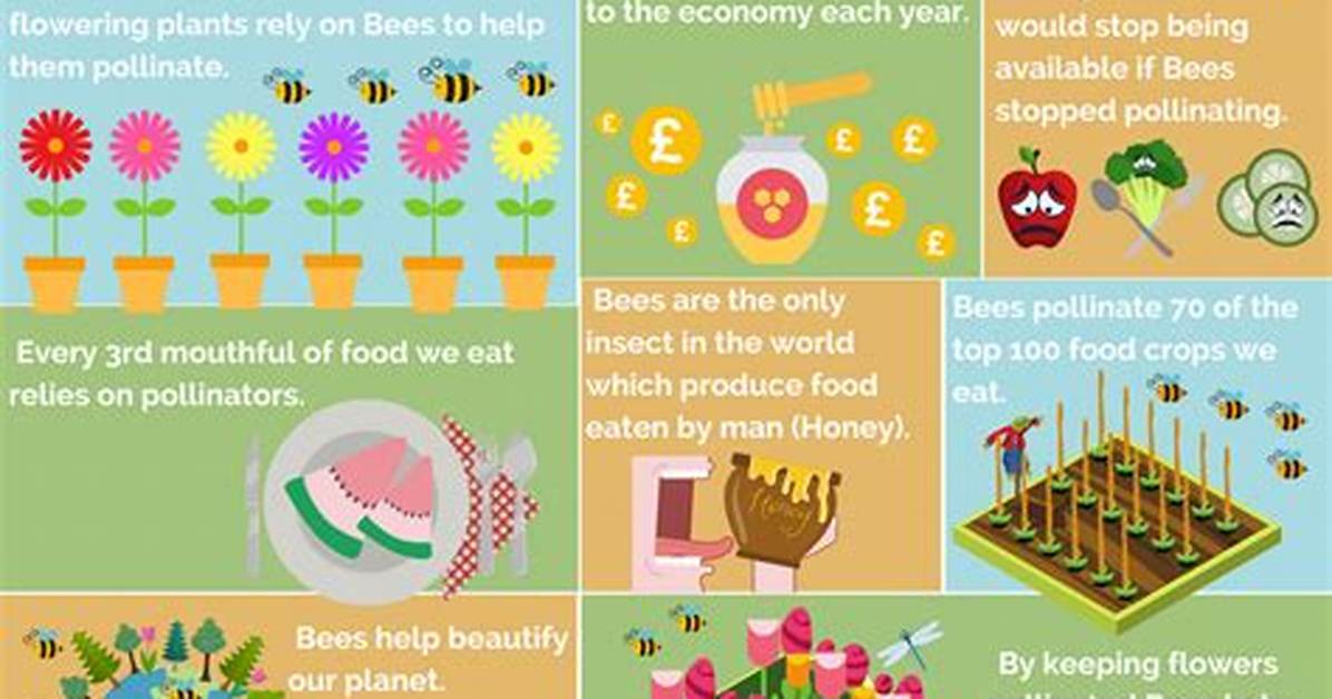 Why Is Bees So Important?