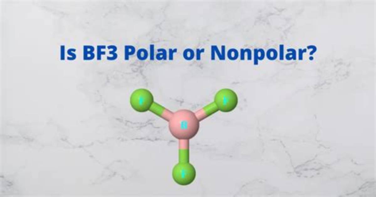 Why Is Bf3 Not Polar