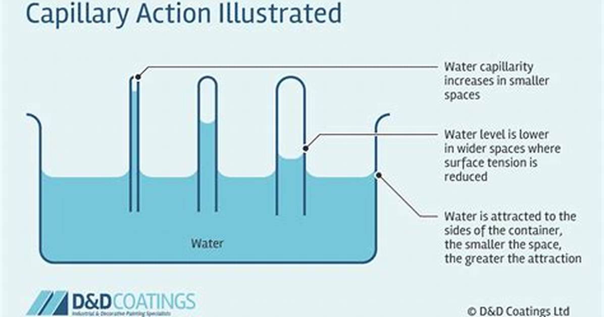 Why Is Capillary Action?