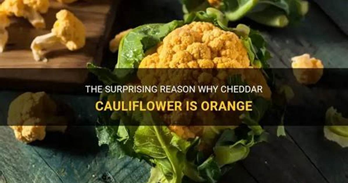 Why Is Cauliflower Orange?