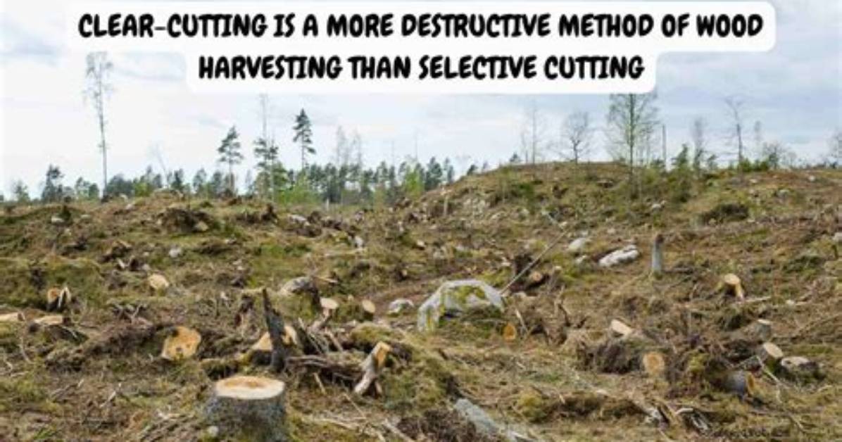 Why Is Clear Cutting Done?
