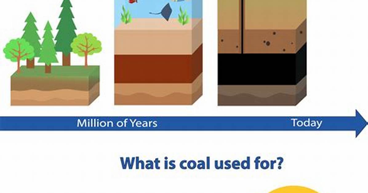 Why Is Coal Used?