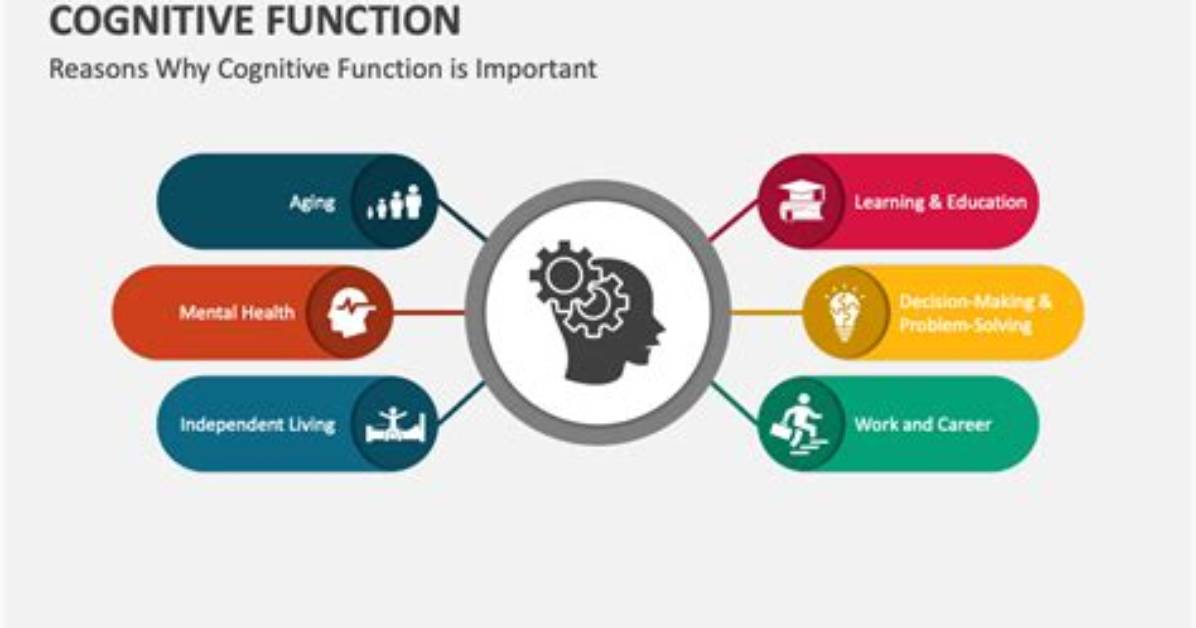 Why Is Cognitive Function Important