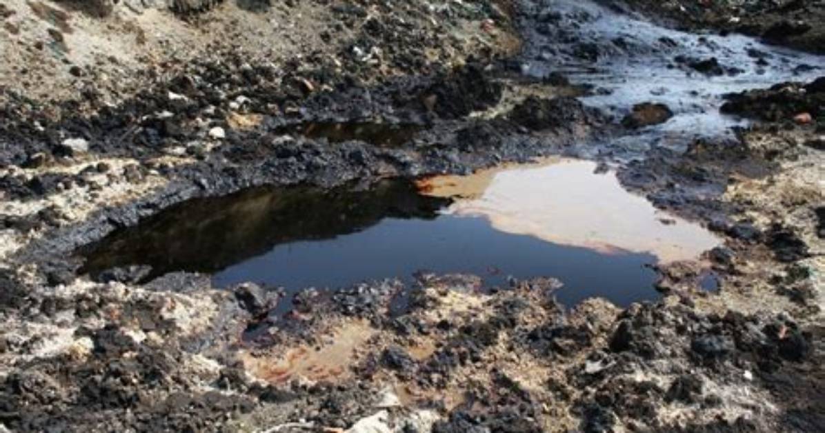 Why Is Contaminated Soil Bad