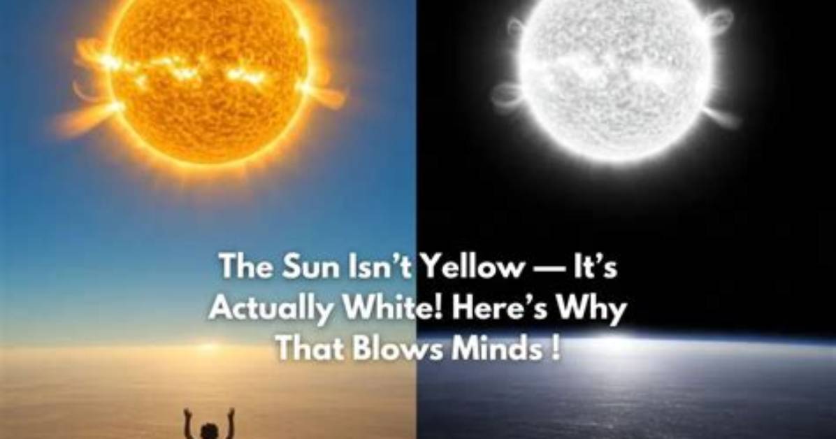 Why Is Earth 2 Yellow?