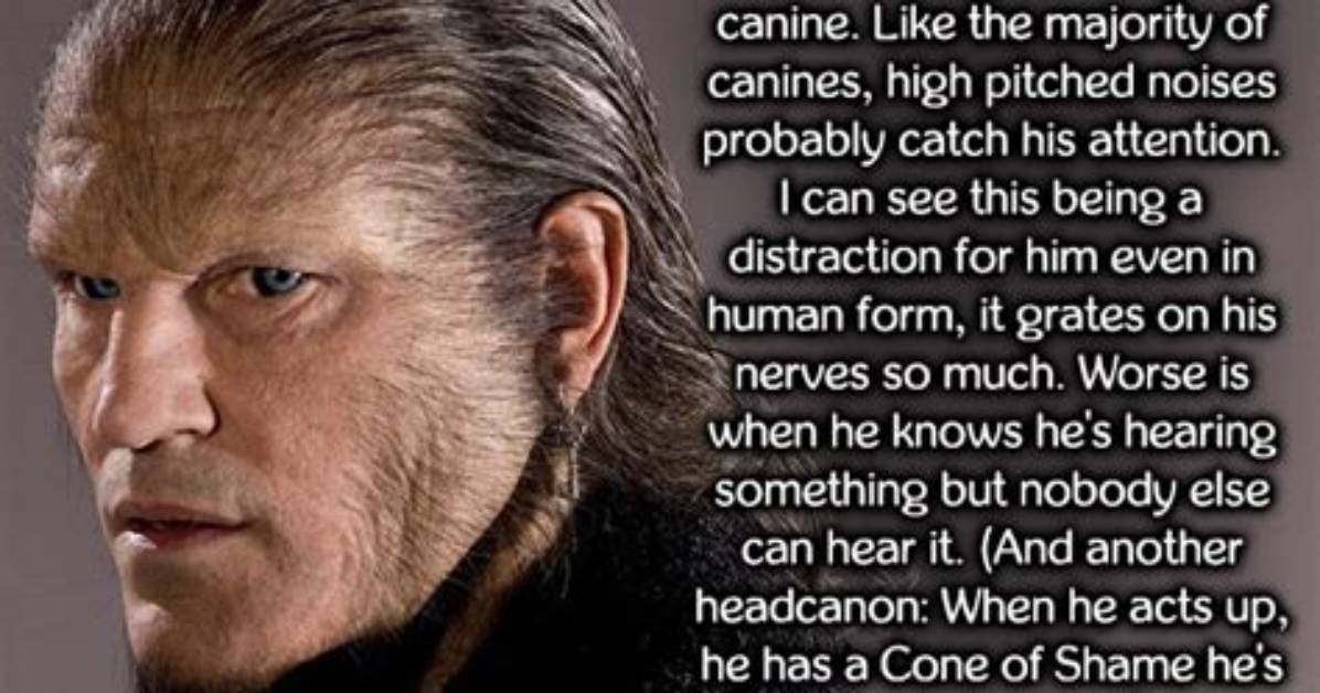 Why Is Fenrir Greyback a Wolf?