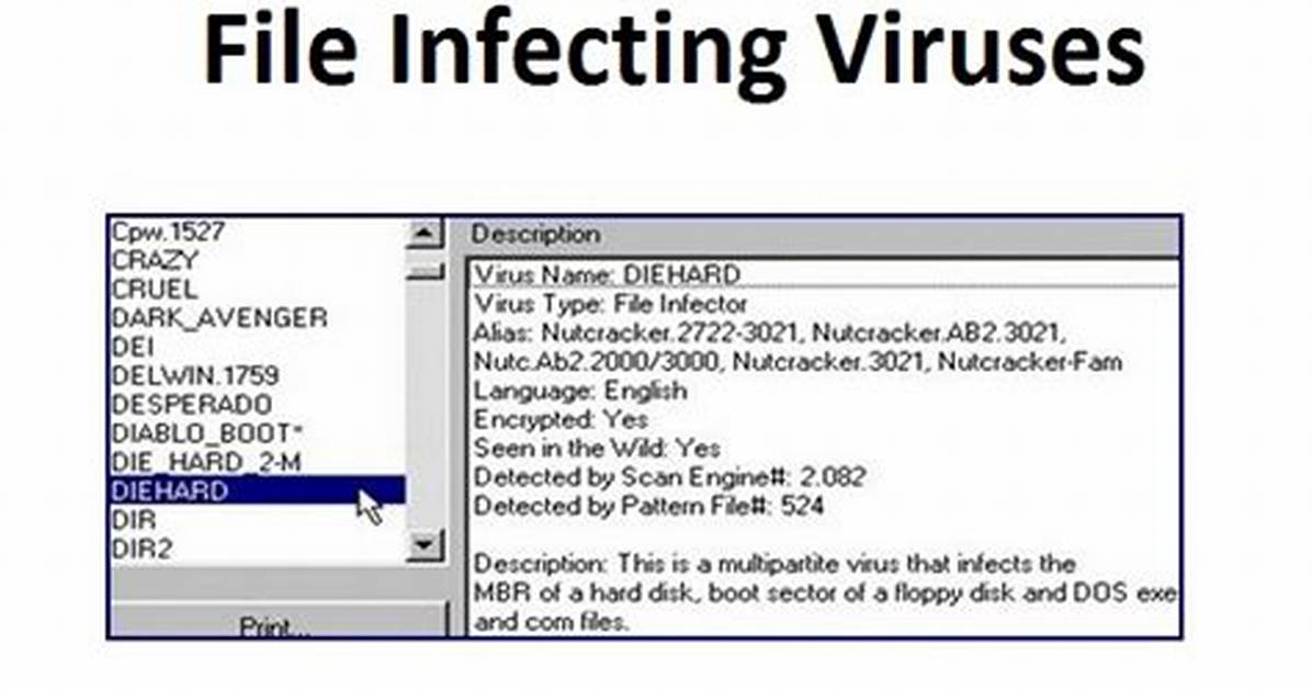 Why Is File Infecting Virus?