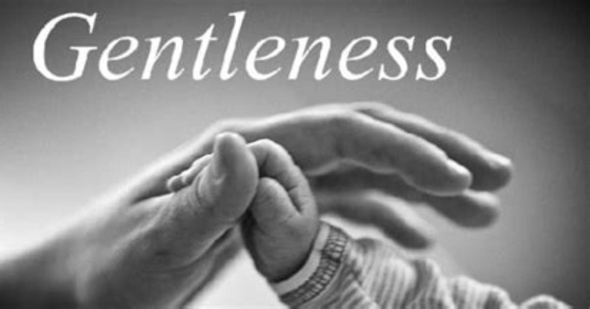 Why Is Gentleness Important?