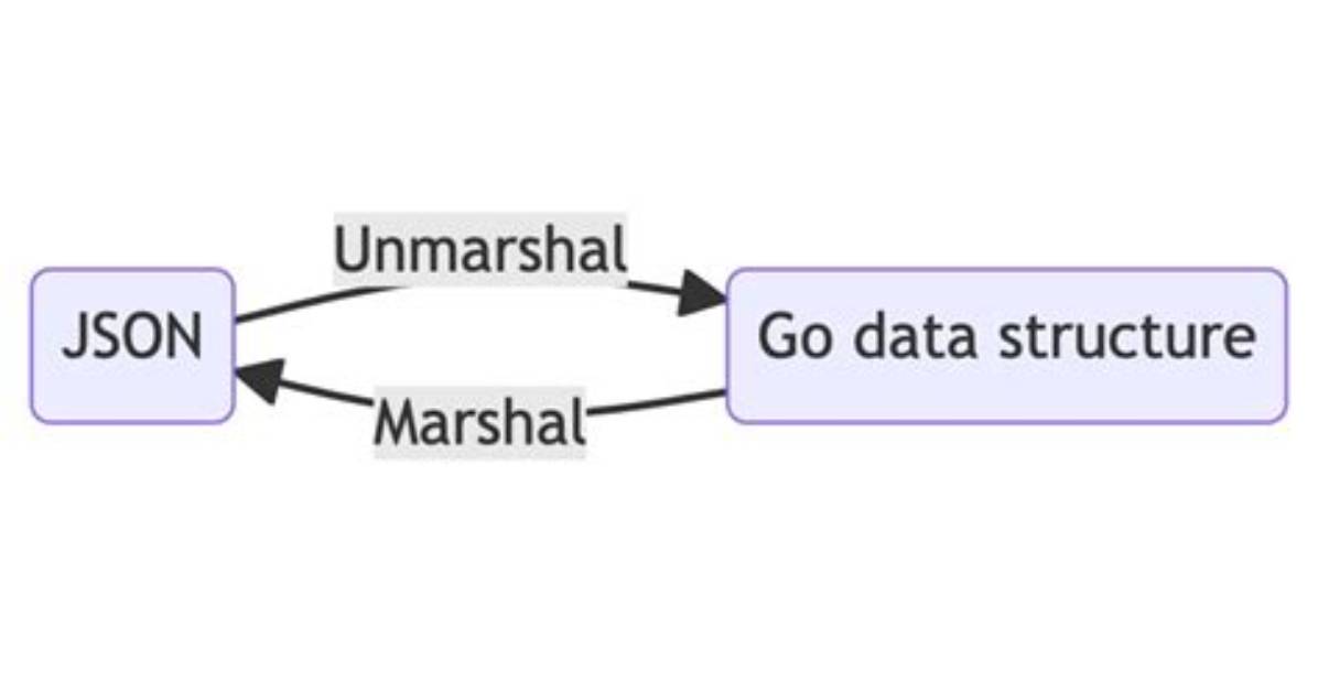 Why Is Go Json. Marshal Rejecting These Struct Tags? What Is Proper Syntax for Json Tags? [Duplicate]