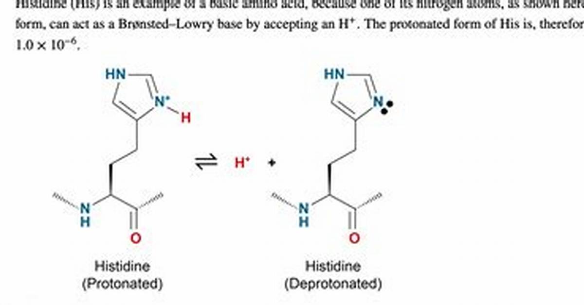 Why Is Histidine Basic