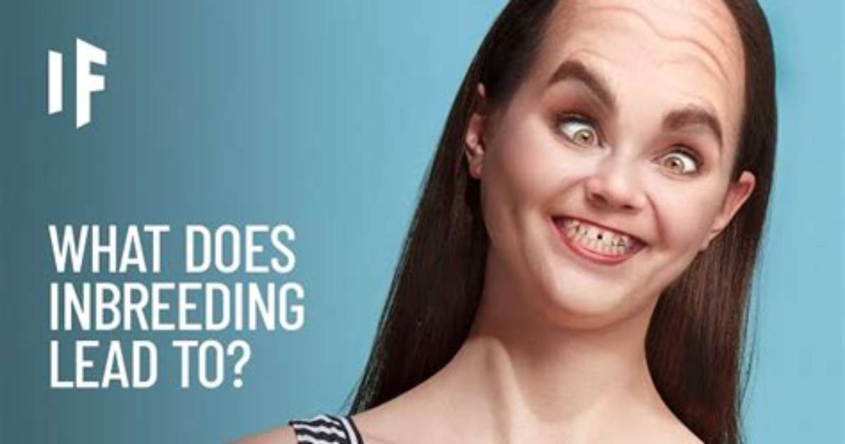 Why Is Inbred Dangerous?