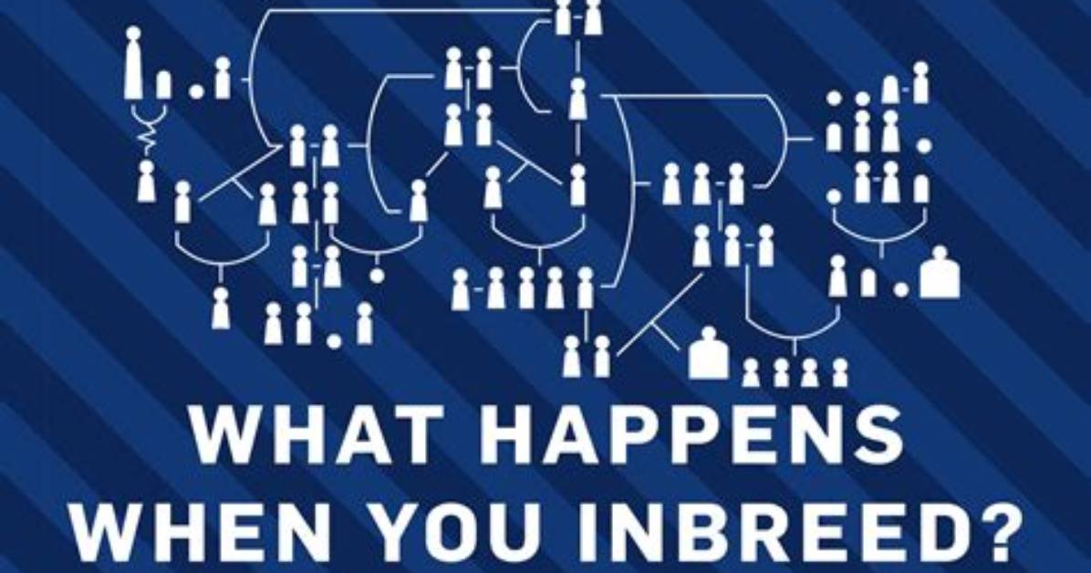 Why Is Inbreeding a Bad Idea