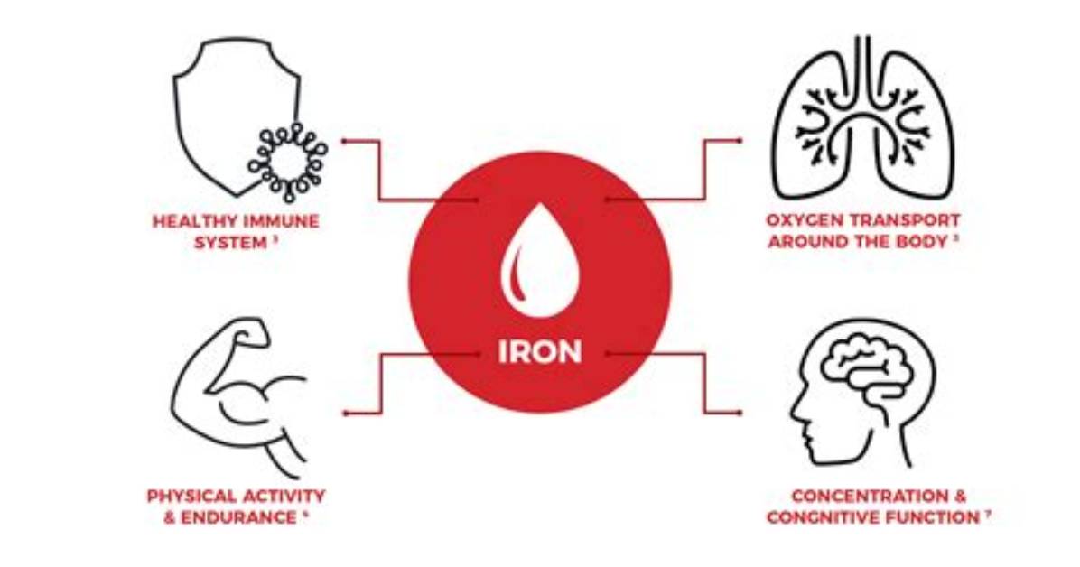 Why Is Iron Toxic