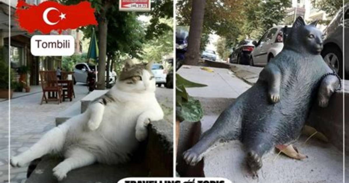 Why Is Istanbul So Cold?