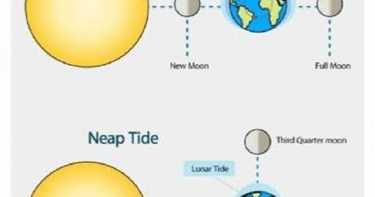 Why Is It Called a Neap Tide