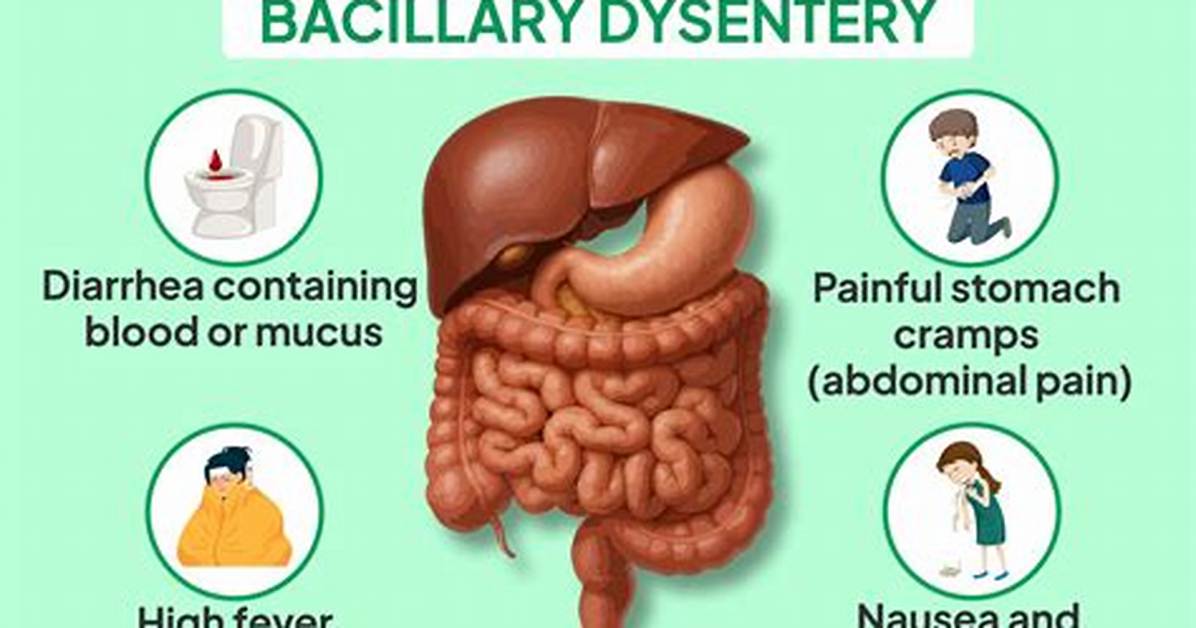 Why Is It Called Amebic Dysentery?
