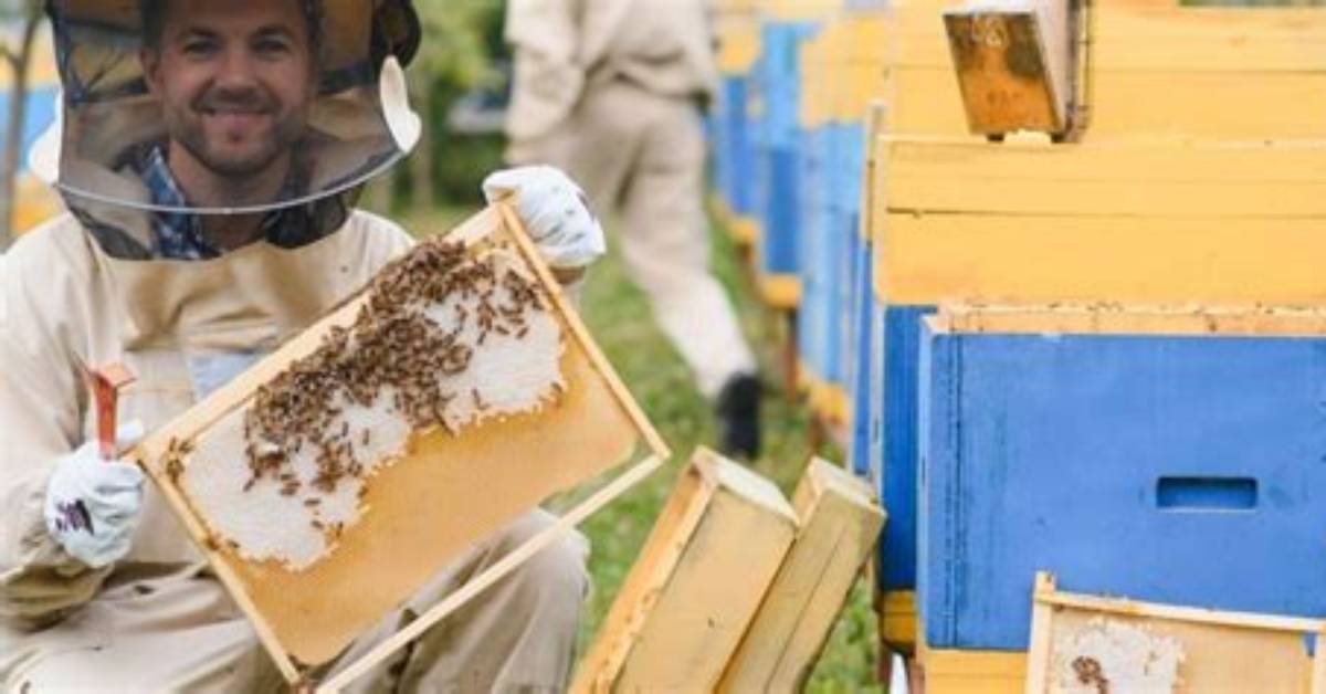 Why Is It Called Apiarist?