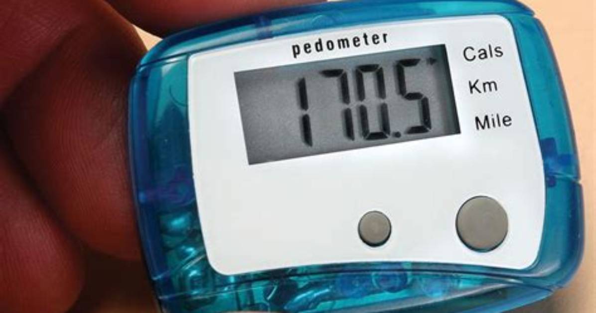Why Is It Called Pedometer?
