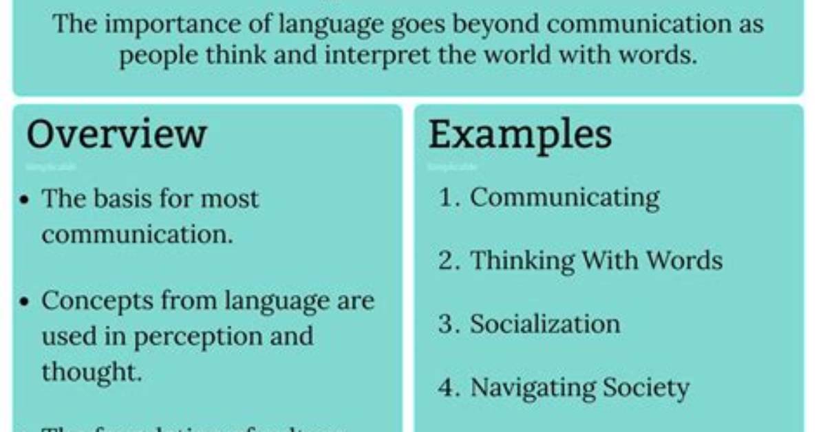 Why Is Language Important?