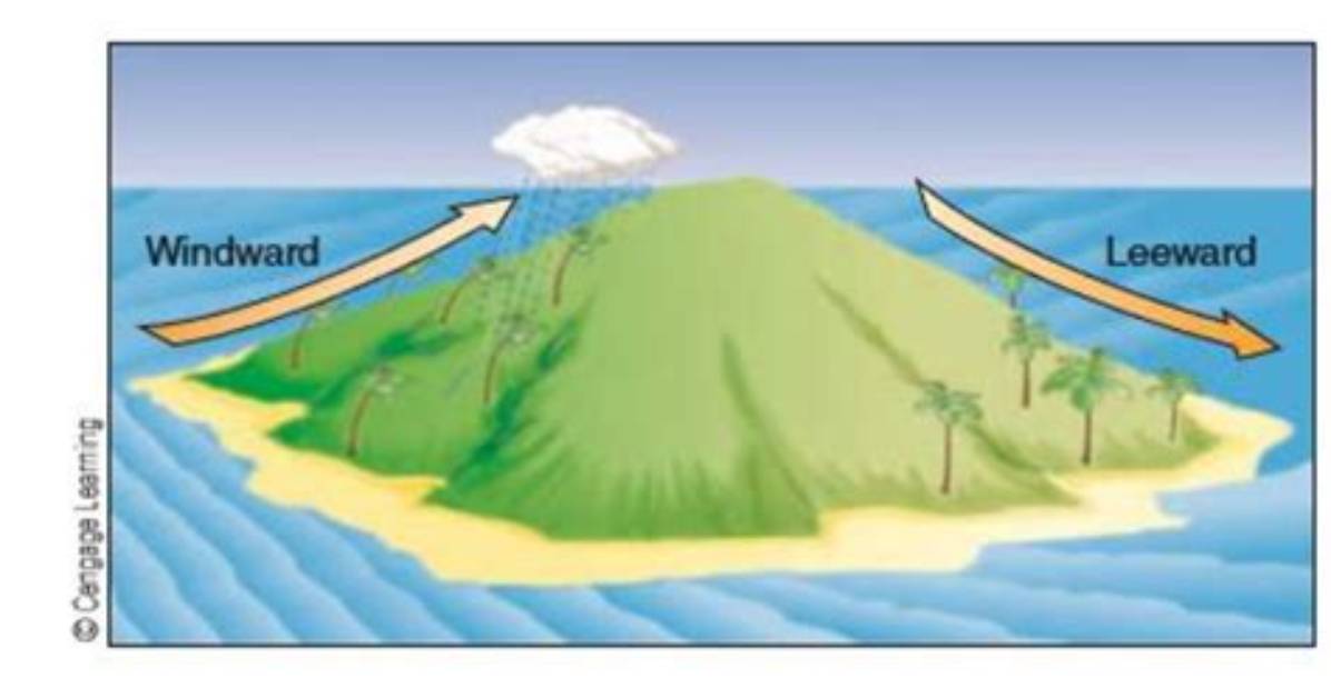 Why Is Leeward Important?