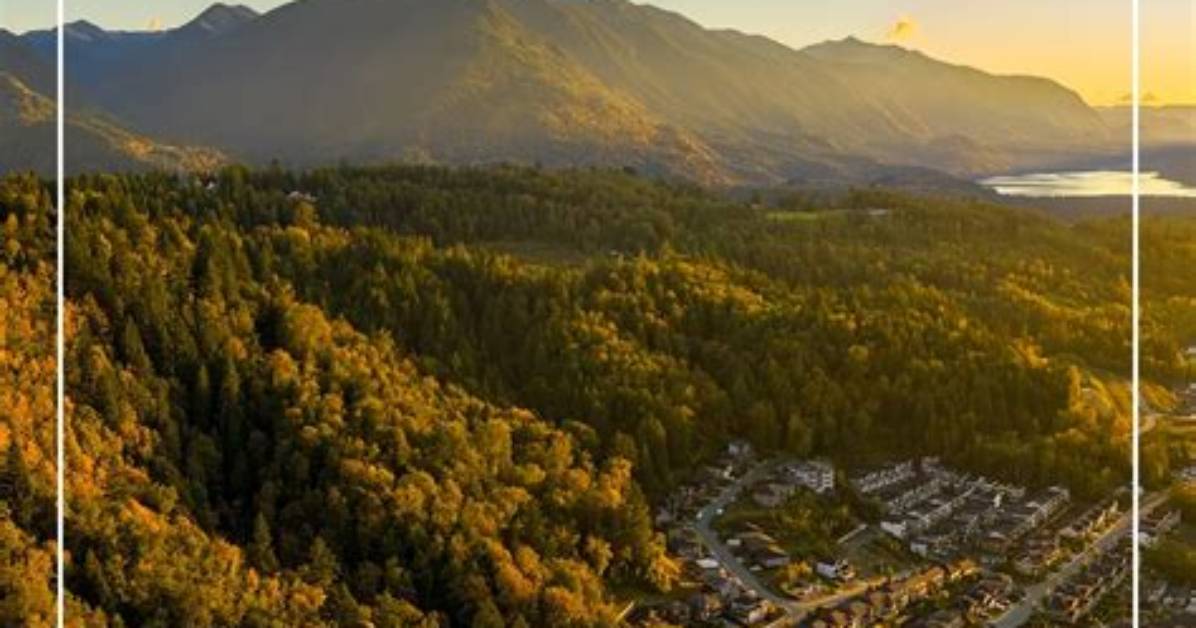 Why Is Maple Ridge Called Maple Ridge