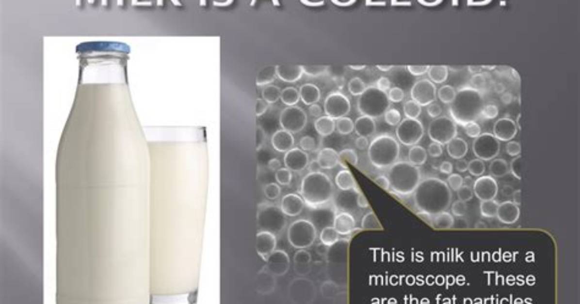 Why Is Milk a Colloid?