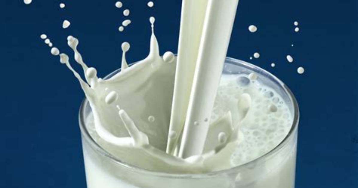 Why Is Milk Opaque?