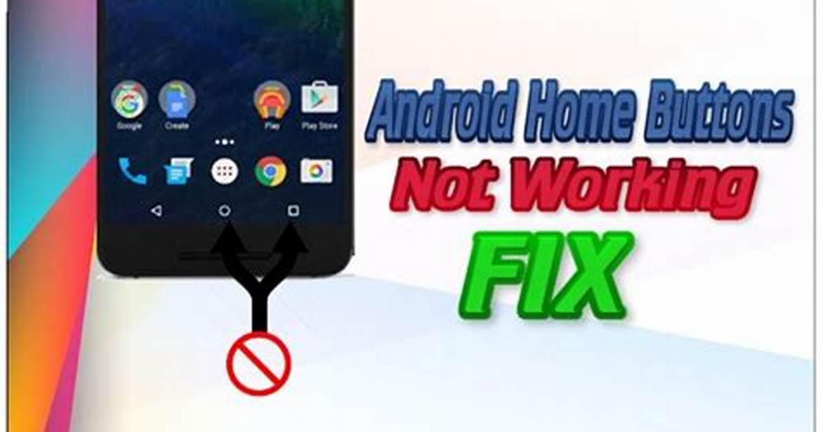 Why Is My Android Home Button Not Working?