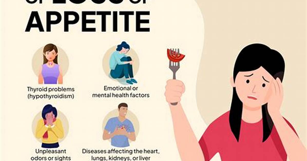 Why Is My Appetite So Small?