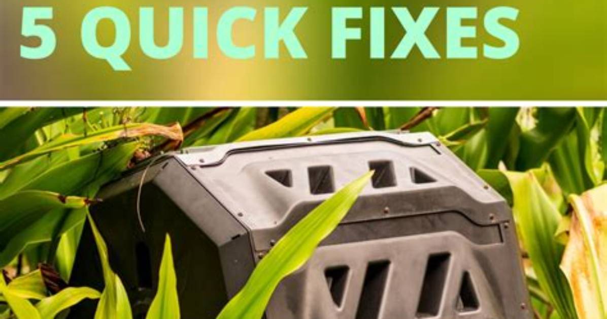 Why Is My Compost Bin Not Heating Up