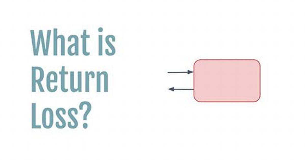 Why Is My Loss Function Return Negative Values?