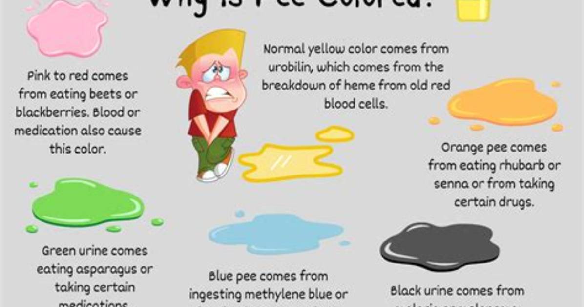 Why Is My Pee Rainbow?