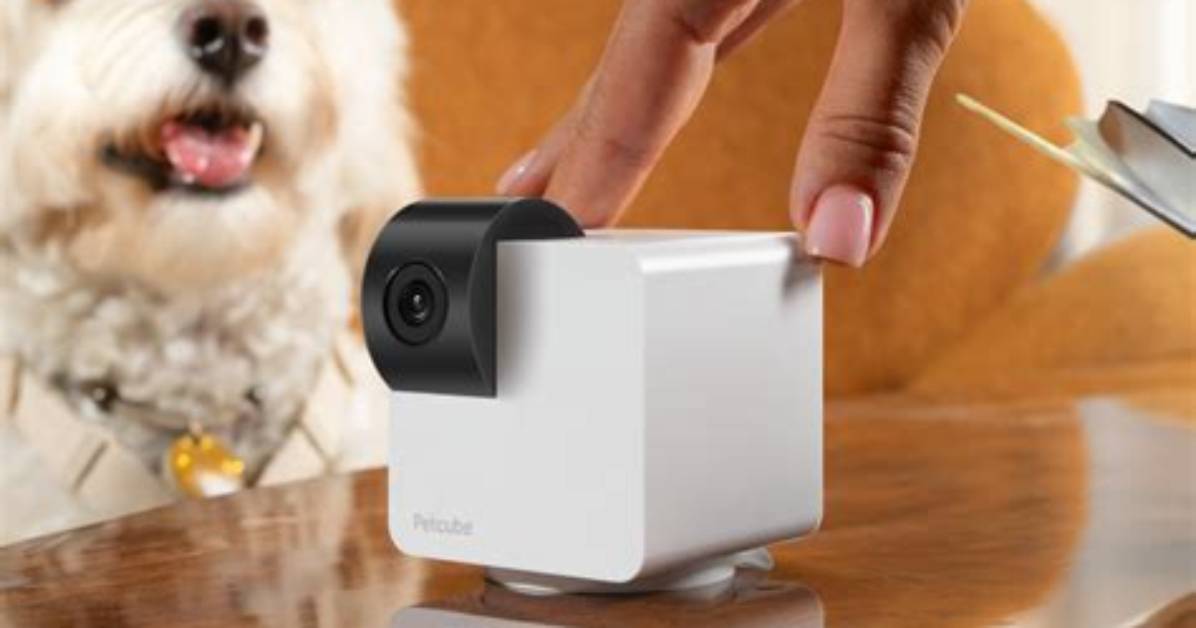 Why Is My Petcube Camera Blinking?