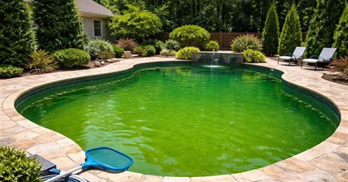 Why Is My Pool Green?