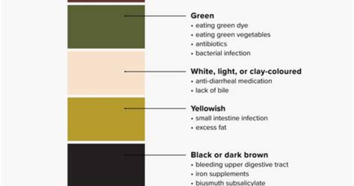 Why Is My Poop Olive Green?